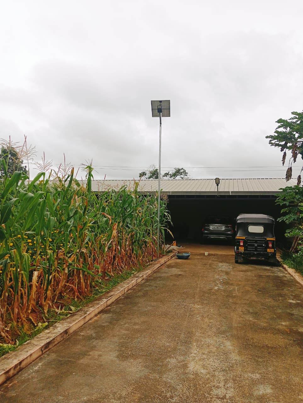SOLAR STREET LIGHT image 4